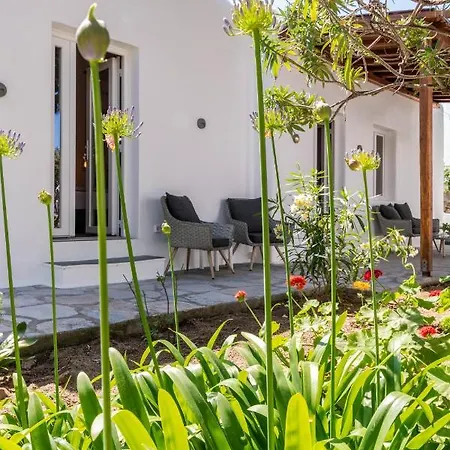Apartment Secret Garden