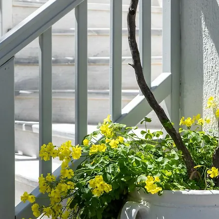 Secret Garden Apartment *