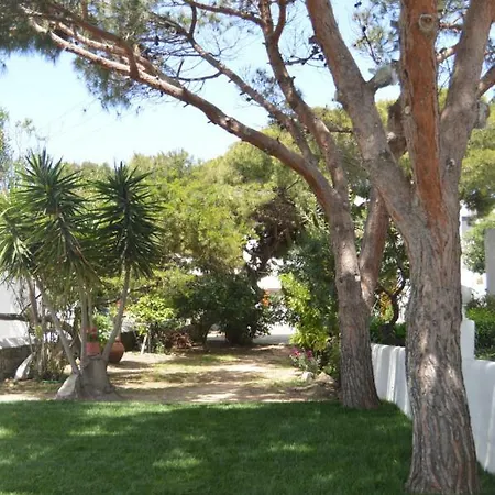 Secret Garden *
